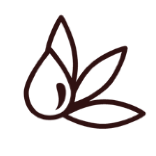 stgp_aceite.png